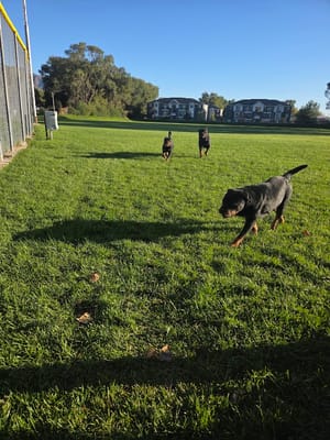 4th Street Park photo 2