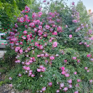 6th East Park photo 3