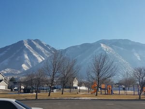 Abbie Court Park photo 3