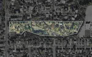 Allen Park