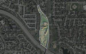 Cottonwood Grove