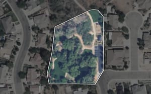 Forest Park