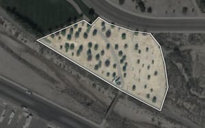Memorial Grove Park