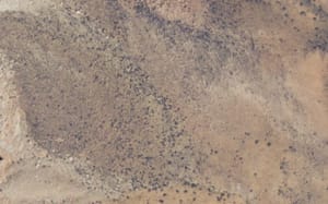 Red Cliffs National Conservation Area