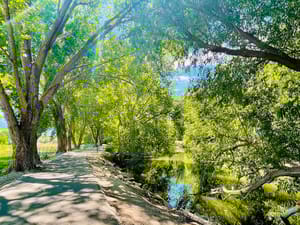 Alligator Park photo 1