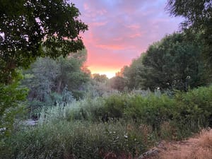 Alligator Park photo 2