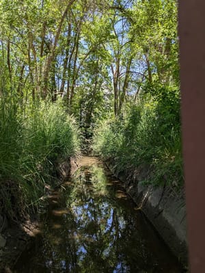 Anderson Park photo 3