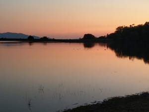 Andy Adams Park photo 1