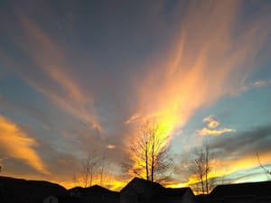 Artistry Lane Park photo 2