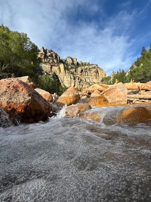 Ashdown Gorge Wilderness Area photo 1