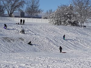 Aspen Meadows Park (The Fish Park) photo 2