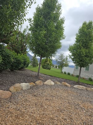 Bamberger Park photo 3