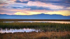 Bear River Migratory Bird Refuge Center