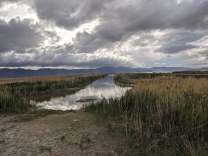 Bear River Migratory Bird Refuge Center photo 2