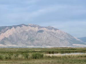 Bear River Migratory Bird Refuge Center photo 3