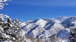 Bell Canyon Park photo 3