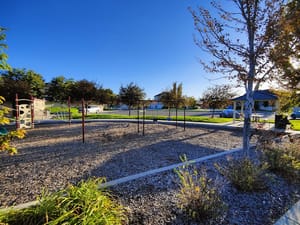 Bellevue Park photo 1