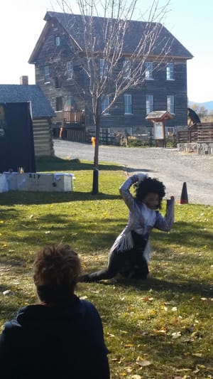 Benson Mill Park photo 3