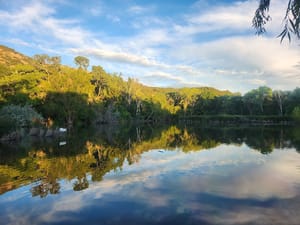 Beus Pond Park photo 3