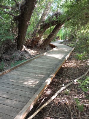 Bicentennial Boardwalk