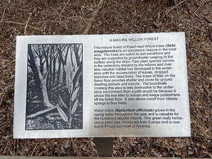 Bicentennial Boardwalk photo 3