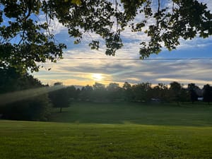 Bicentennial Park Pavilion 1