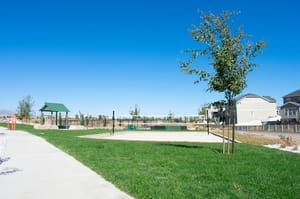 Big Bend Park photo 2