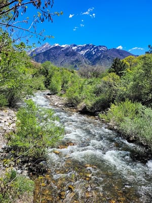 Big Cottonwood Canyon Trail photo 3