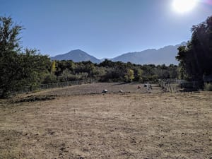 Big Cottonwood Regional Park - Hillview Area