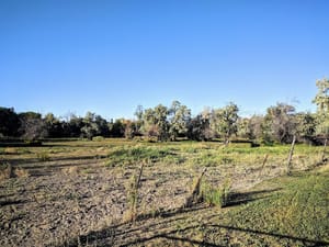 Big Cottonwood Regional Park - Hillview Area photo 2