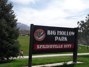 Big Hollow Park photo 3