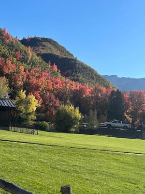 Big Springs Park photo 3