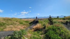 Bingham Creek Regional Park photo 2