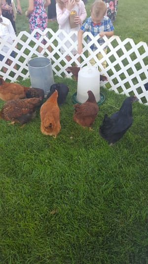 Bloomfield Farms Park photo 3