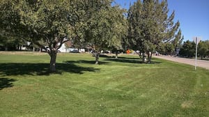 Blue Star Park photo 2