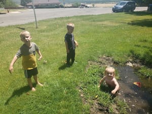 Blue Star Park photo 3