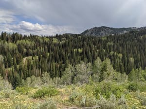 Bonanza Flat Conservation Area