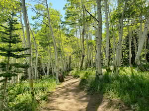 Bonanza Flat Conservation Area photo 3