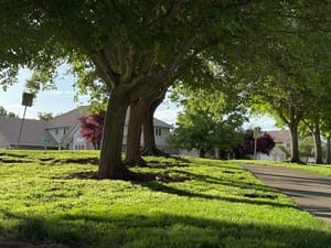 Boots Cox Family Park photo 2