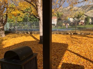 Braegger Park photo 3