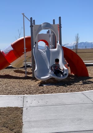 Brandon Park Community Park photo 2