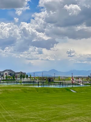 Brandon Park Community Park photo 3