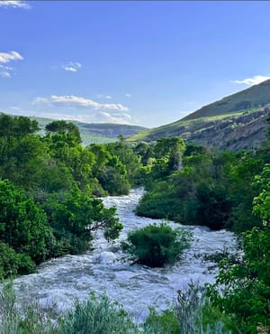 Bridal Veil Falls photo 3