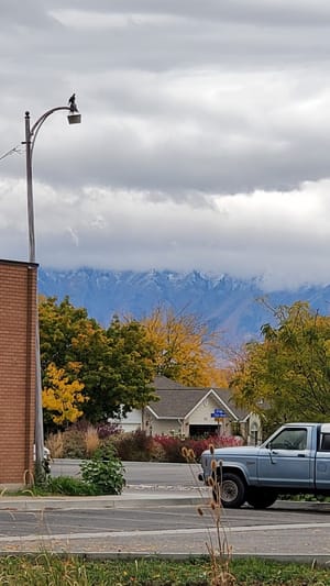 Bridgerland Park photo 2