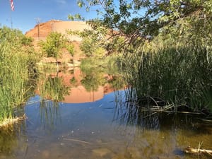 Brooks Nature Park photo 3