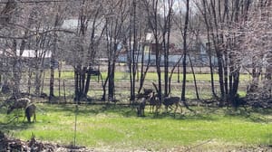 Canal Corner Pocket Park