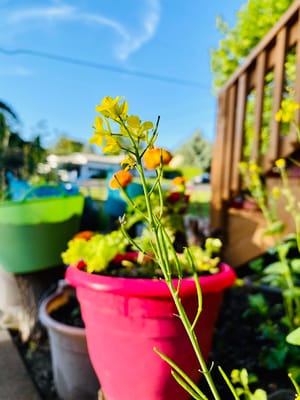 Canal Corner Pocket Park photo 3