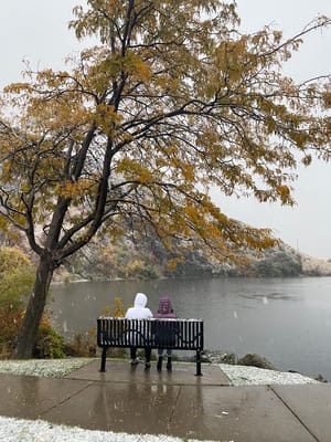 Canyon Road Park photo 2