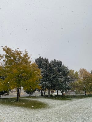 Canyon Road Park photo 3