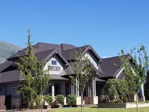 Carlisle Park photo 2